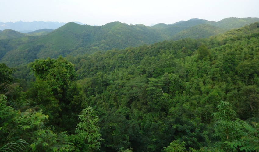 Môi trường đang trải qua những thay đổi hết sức nghiêm trọng, đặc biệt trong những năm gần đây